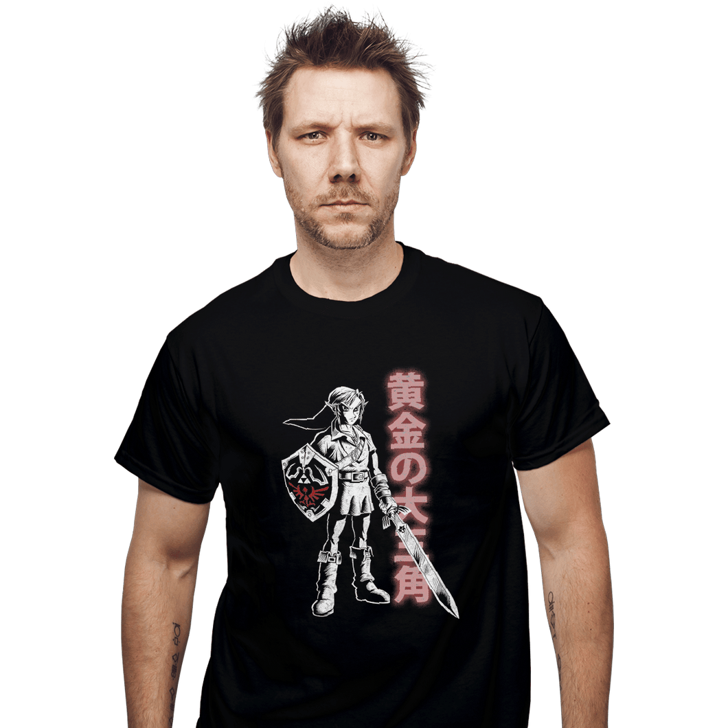 Shirts T-Shirts, Unisex / Small / Black Link, Hero of Time