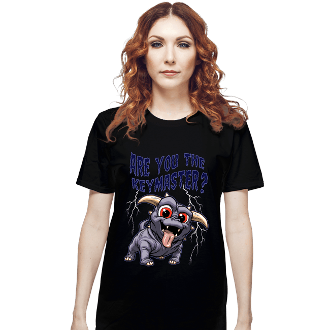 Daily_Deal_Shirts T-Shirts, Unisex / Small / Black Are You The Keymaster?
