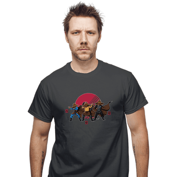 Daily_Deal_Shirts T-Shirts, Unisex / Small / Charcoal Straw Hats, Magic, And Kung Fu