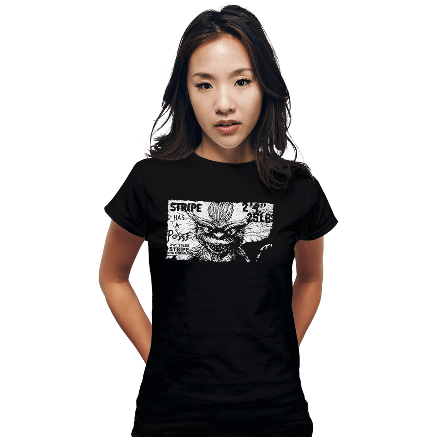 Shirts Fitted Shirts, Woman / Small / Black Stripe Has A Posse