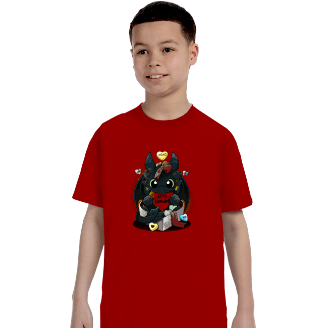 Daily_Deal_Shirts T-Shirts, Youth / XS / Red Be My Dragon