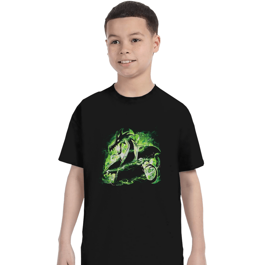Secret_Shirts T-Shirts, Youth / XS / Black Power Dragon