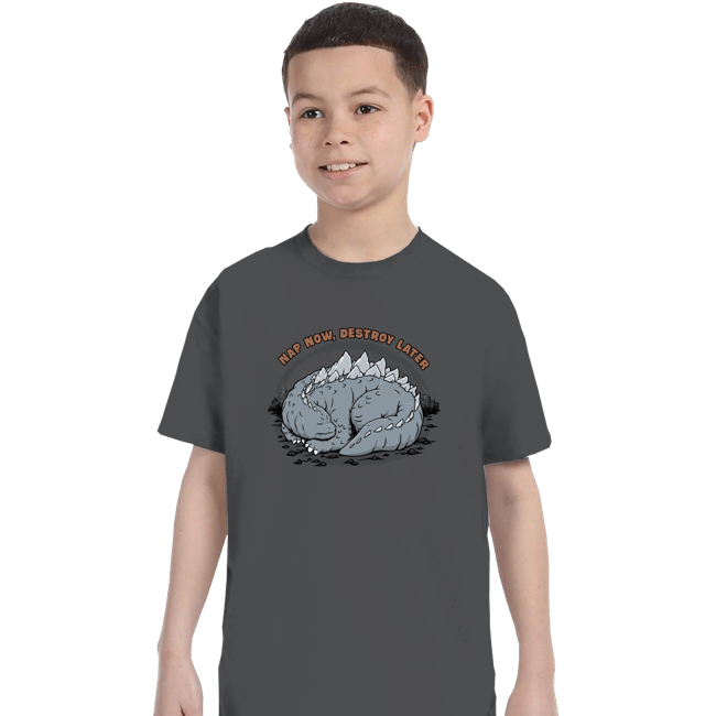 Daily_Deal_Shirts T-Shirts, Youth / XS / Charcoal Nap & Destroy