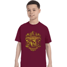 Load image into Gallery viewer, Sold_Out_Shirts T-Shirts, Youth / XS / Maroon Team Gryffindor
