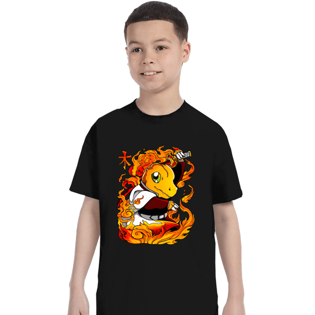 Daily_Deal_Shirts T-Shirts, Youth / XS / Black Hashira Fire