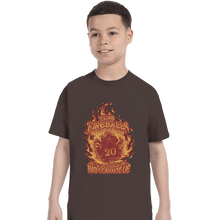 Load image into Gallery viewer, Daily_Deal_Shirts T-Shirts, Youth / XS / Dark Chocolate I Like Fireballs
