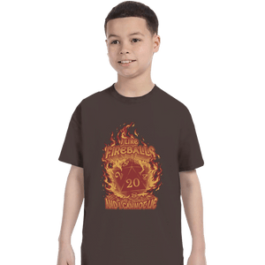 Daily_Deal_Shirts T-Shirts, Youth / XS / Dark Chocolate I Like Fireballs