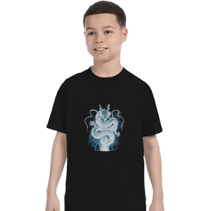 Shirts T-Shirts, Youth / XL / Black The Legend Of Dragon