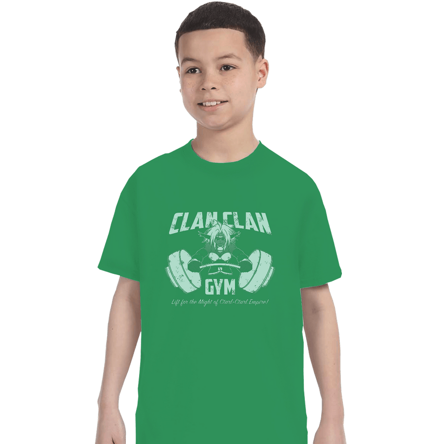 Shirts T-Shirts, Youth / XL / Irish Green Clan Clan Gym