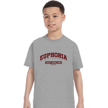 Load image into Gallery viewer, Secret_Shirts T-Shirts, Youth / XS / Sports Grey Euphoria High School
