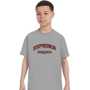 Secret_Shirts T-Shirts, Youth / XS / Sports Grey Euphoria High School