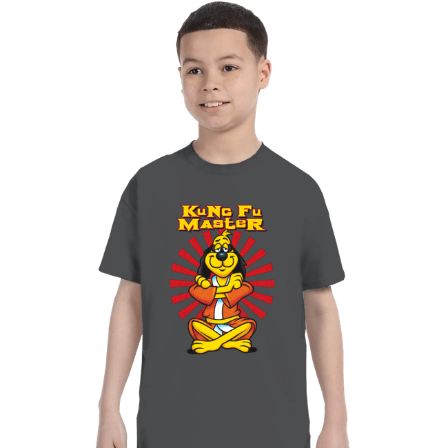 Daily_Deal_Shirts T-Shirts, Youth / XS / Charcoal Kung Fu Master