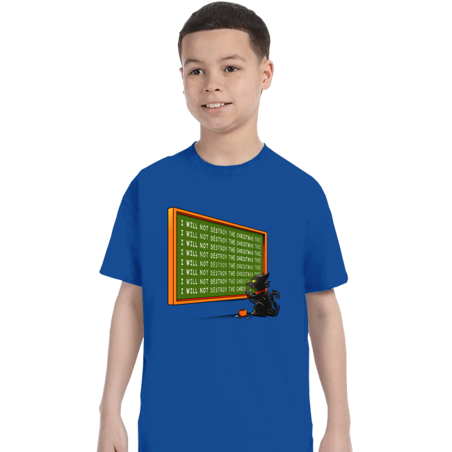 Daily_Deal_Shirts T-Shirts, Youth / XS / Royal Blue I Will Not Destroy