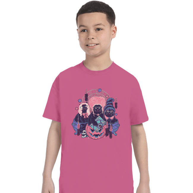 Daily_Deal_Shirts T-Shirts, Youth / XS / Azalea Hocus Pawcus