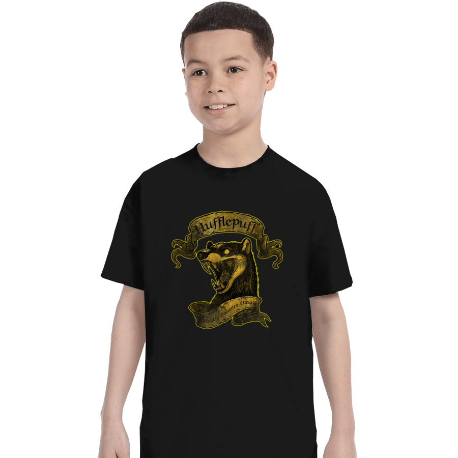 Shirts T-Shirts, Youth / XL / Black Hufflepuff