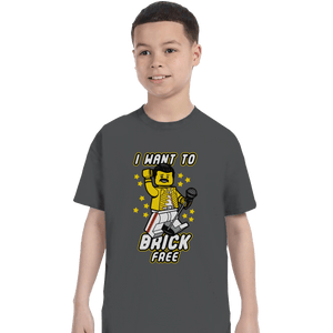Shirts T-Shirts, Youth / XL / Charcoal I Want To Brick Free