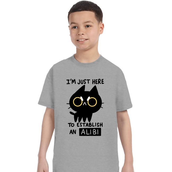 Daily_Deal_Shirts T-Shirts, Youth / XS / Sports Grey My Alibi