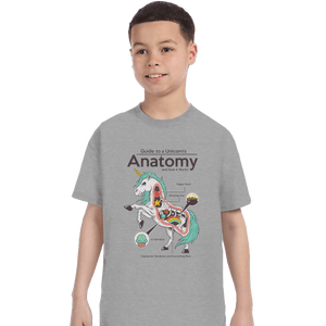 Shirts T-Shirts, Youth / XL / Sports Grey Anatomy Of A Unicorn