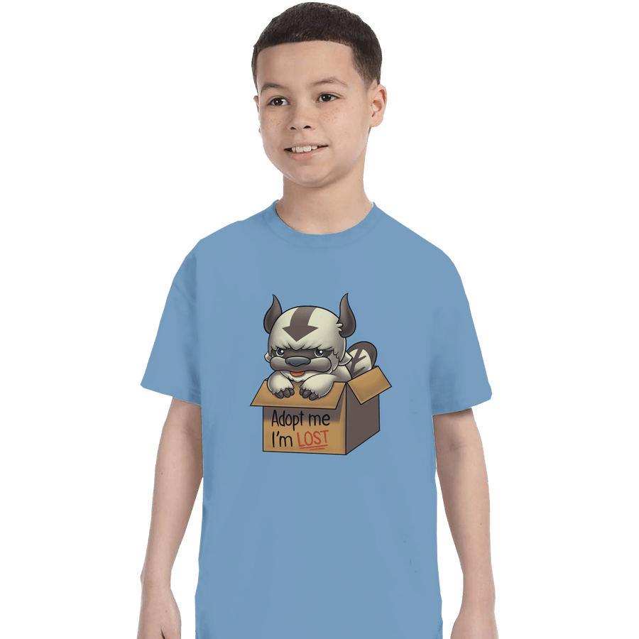 Secret_Shirts T-Shirts, Youth / XS / Powder Blue Adopt Appa