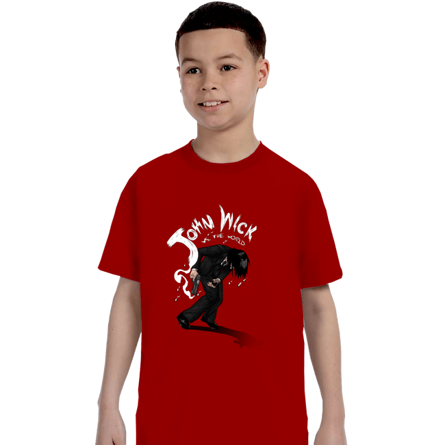 Secret_Shirts T-Shirts, Youth / XS / Red Wick VS The World