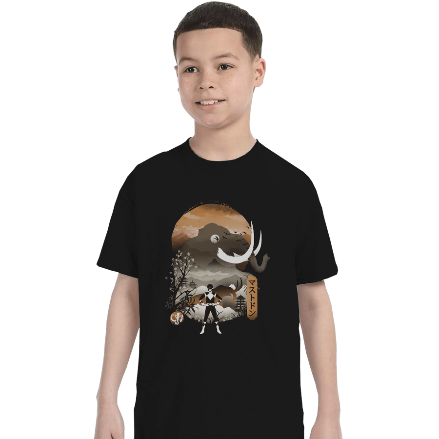 Shirts T-Shirts, Youth / XL / Black Black Ranger Ukiyoe