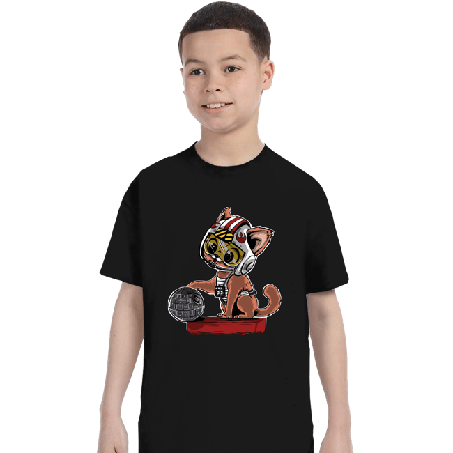 Daily_Deal_Shirts T-Shirts, Youth / XS / Black Destroying The Death Star