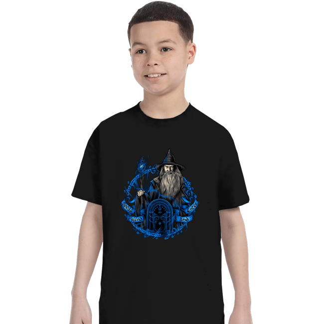 Daily_Deal_Shirts T-Shirts, Youth / XS / Black The Gray Wizard