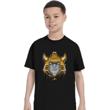 Load image into Gallery viewer, Shirts T-Shirts, Youth / XL / Black Bumblebee

