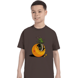 Shirts T-Shirts, Youth / XS / Dark Chocolate Dragon Egg