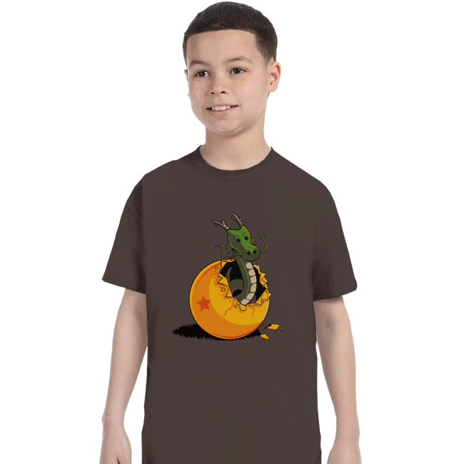 Shirts T-Shirts, Youth / XS / Dark Chocolate Dragon Egg