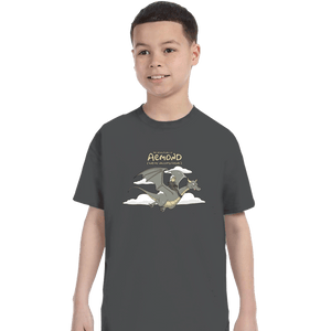 Daily_Deal_Shirts T-Shirts, Youth / XS / Charcoal Dragon Dancer
