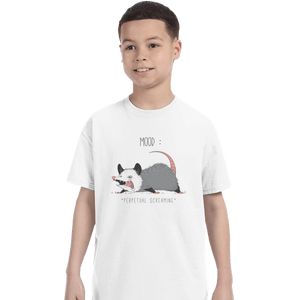 Secret_Shirts T-Shirts, Youth / XS / White Mood Possum Secret Sale
