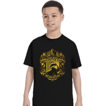 Load image into Gallery viewer, Sold_Out_Shirts T-Shirts, Youth / XS / Black Team Hufflepuff
