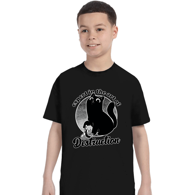 Secret_Shirts T-Shirts, Youth / XS / Black Expert In Destruction