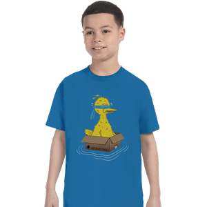Shirts T-Shirts, Youth / XS / Sapphire Big Bird Box