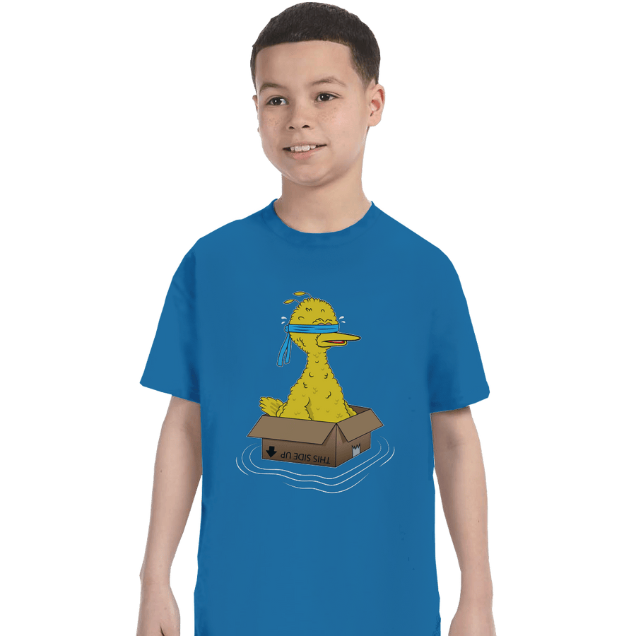 Shirts T-Shirts, Youth / XS / Sapphire Big Bird Box