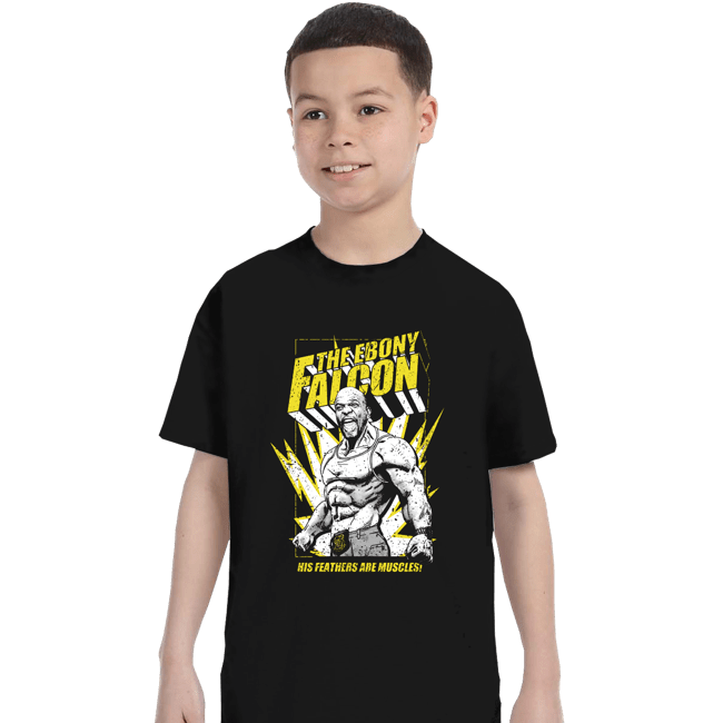 Secret_Shirts T-Shirts, Youth / XS / Black The Ebony Falcon