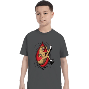 Shirts T-Shirts, Youth / XS / Charcoal Hello Ma Honey