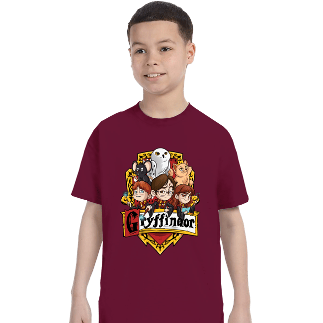 Secret_Shirts T-Shirts, Youth / XS / Maroon Little Wizards