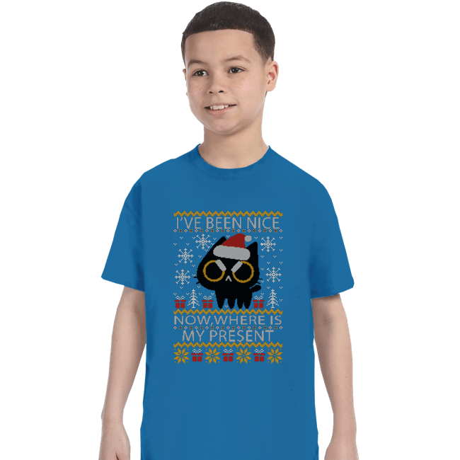 Daily_Deal_Shirts T-Shirts, Youth / XS / Sapphire Where Is My Present