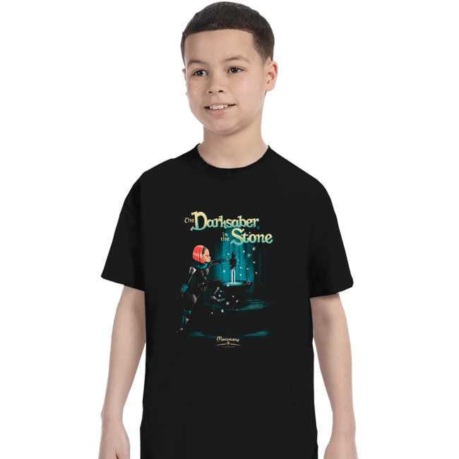 Daily_Deal_Shirts T-Shirts, Youth / XS / Black The Saber In The Stone
