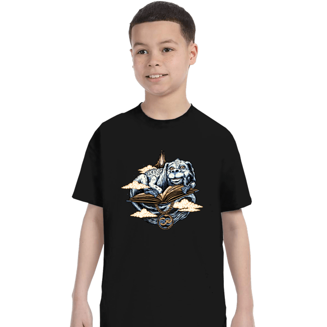 Daily_Deal_Shirts T-Shirts, Youth / XS / Black The Story That Never Ends