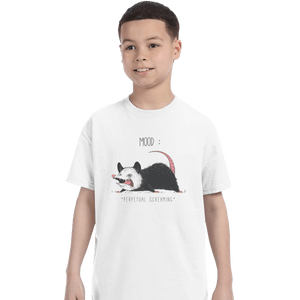 Shirts T-Shirts, Youth / XL / White Mood Possum