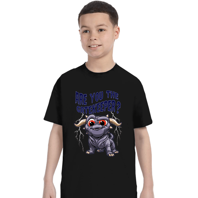 Daily_Deal_Shirts T-Shirts, Youth / XS / Black Are You The Gatekeeper