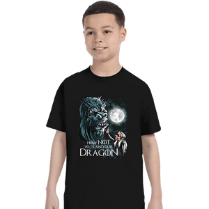 Daily_Deal_Shirts T-Shirts, Youth / XS / Black How Not To Train Your Dragon