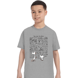 Secret_Shirts T-Shirts, Youth / XS / Sports Grey The Plan