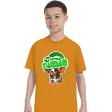 Load image into Gallery viewer, Secret_Shirts T-Shirts, Youth / XS / Gold Little Gizmo!
