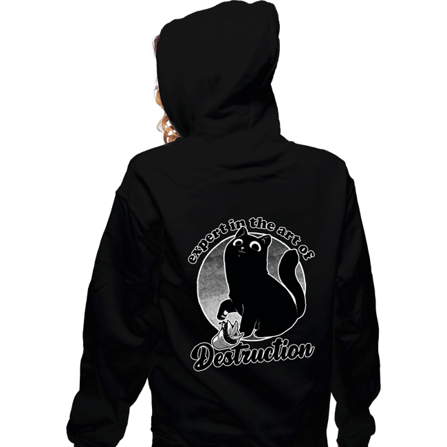 Secret_Shirts Zippered Hoodies, Unisex / Small / Black Expert In Destruction