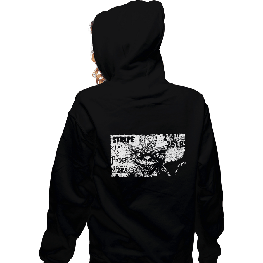Shirts Zippered Hoodies, Unisex / Small / Black Stripe Has A Posse