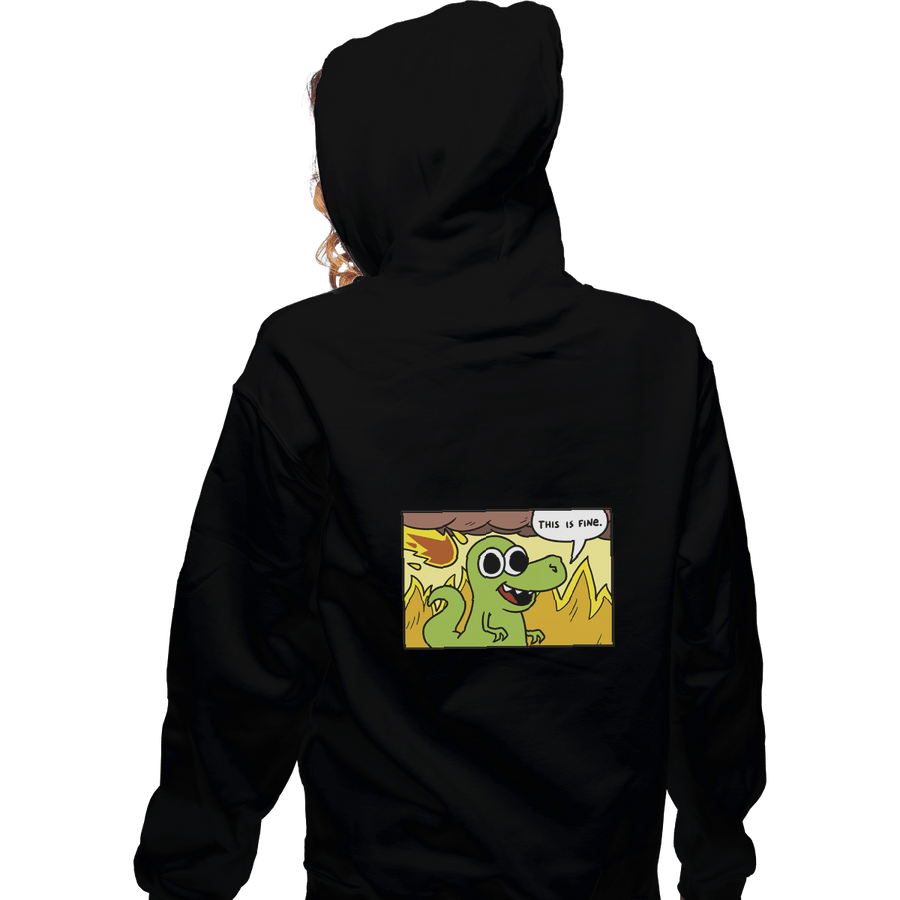 Shirts Pullover Hoodies, Unisex / Small / Black Dinoptimist